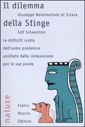sfinge