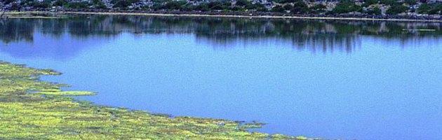 Inquinamento, “I pesticidi contaminano metà delle acque di laghi e fiumi italiani”