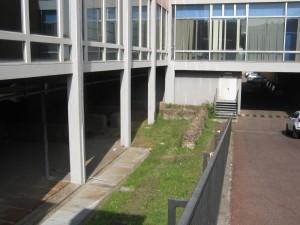Biblioteca-Roma-Lilli-3