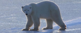 GEP-GLOBALWARMING