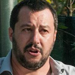 salvini 240