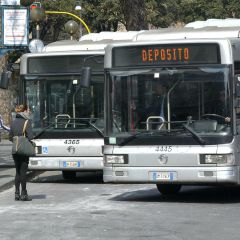 autobus 240