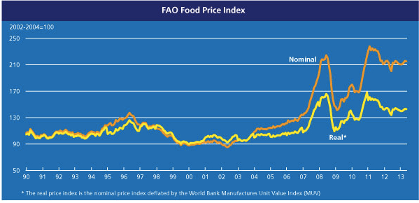 fao-food-price-index-june-2013-jpeg