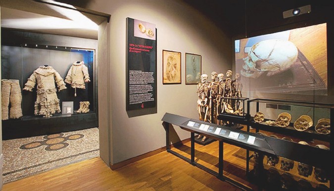 Antropologia criminale - L’attuale allestimento del Museo Lombroso è stato inaugurato nel 2009