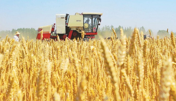 Così i bambini sono preda delle nuove truffe alimentari