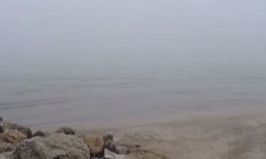nebbia mare