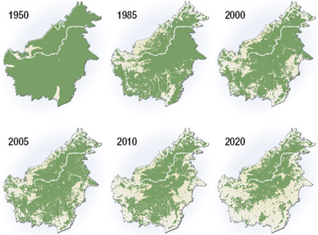 deforestazione-indonesia-mappa