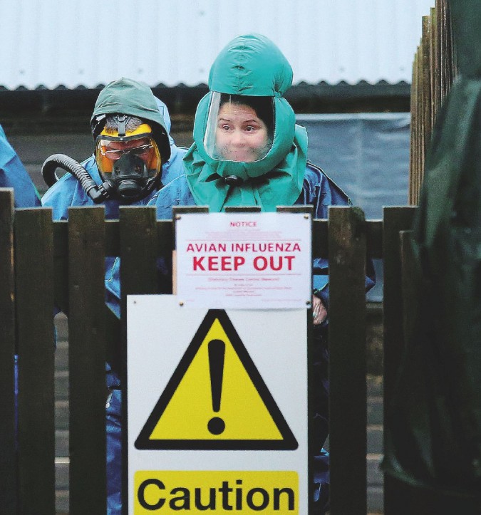 Bird flu at Craigies Poultry Farm