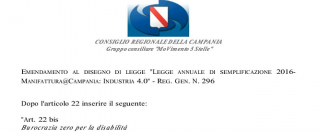 campania-disabili