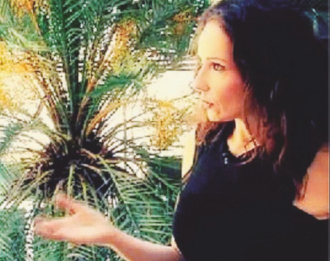 Daniela  Ranieri -  Romana, è autrice del romanzo “Mille esempi di cani smarriti” e del pamphlet “AristoDem. Discorso sui nuovi radical chic” (Ponte alle Grazie)  -