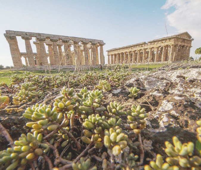 Meraviglie a cielo aperto - I templi dell’area archeologica di Paestum