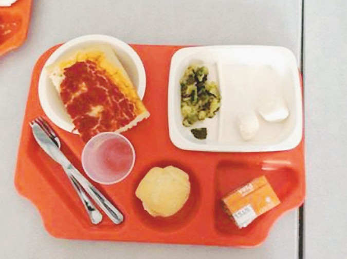 Il vassoio -  “Oggi pizza” - qui accanto - prevede:  un mesto pezzo di pizza, zucchine lesse e un paio  di mozzarelline sciupate