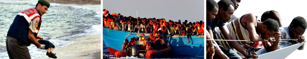 migranti combo 2 990