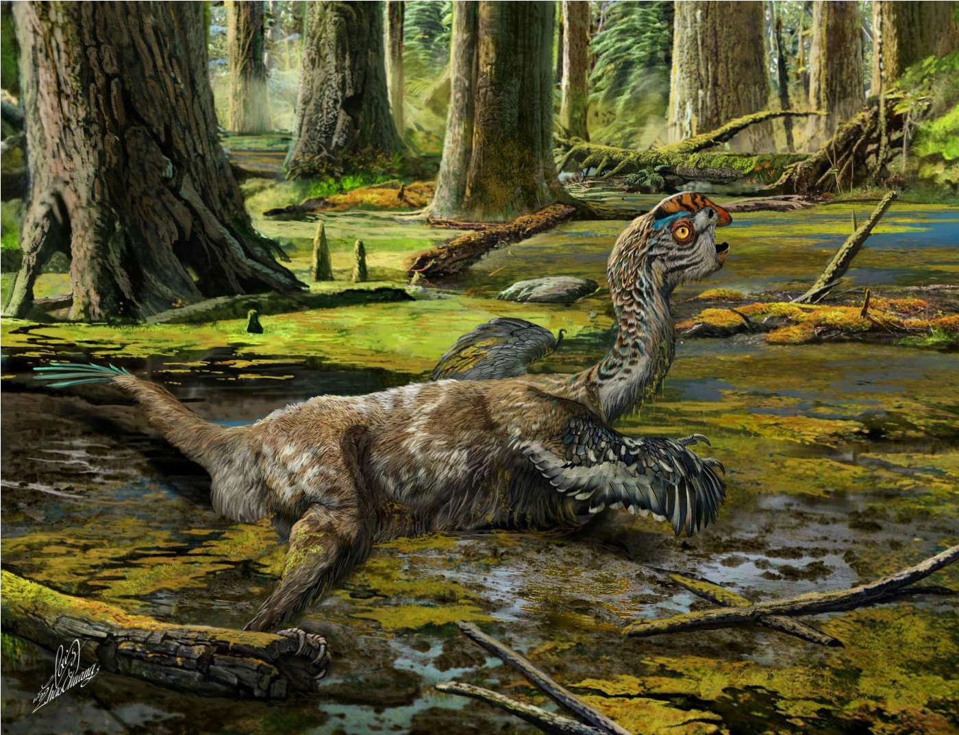 EMBARGOED TO 1400 THURSDAY NOVEMBER 10Undated handout artist impression issued by University of Edinburgh of how the species of dinosaur Tongtianlong limosus looked like. A dinosaur fossil nicknamed the Mud Dragon has given scientists insight into a family of creatures that flourished just before the mass extinction. PRESS ASSOCIATION Photo. Issue date: Thursday November 10, 2016. The bird-like species was discovered on a Chinese building site, preserved almost intact and lying on its front with its wings and neck outstretched. Scientists speculate that the creature may have died in this pose after becoming mired in mud 66-72 million years ago. They have named the new species Tongtianlong limosus, meaning "muddy dragon on the road to heaven". See PA story SCIENCE Dinosaur. Photo credit should read: Zhao Chuang/University of Edinburgh/PA WireNOTE TO EDITORS: This handout photo may only be used in for editorial reporting purposes for the contemporaneous illustration of events, things or the people in the image or facts mentioned in the caption. Reuse of the picture may require further permission from the copyright holder.