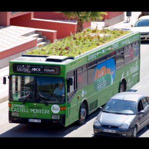 Autobus green Madrid