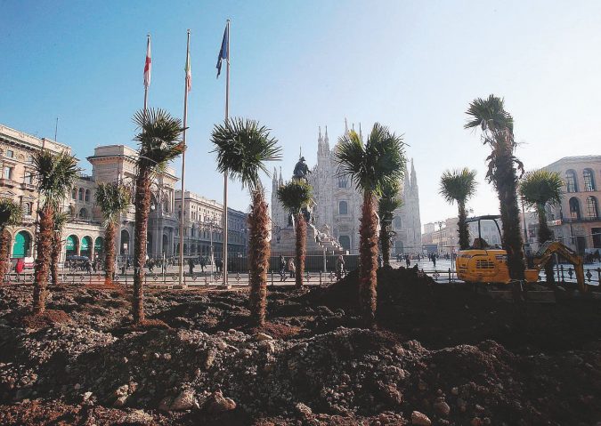 Milano: palme in piazza Duomo per area verde