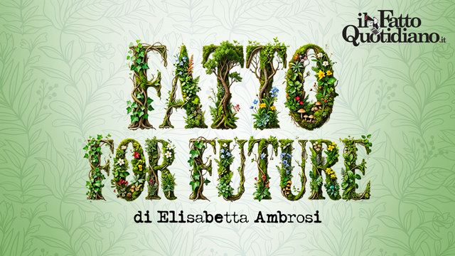 Fatto for Future, di  Elisabetta Ambrosi