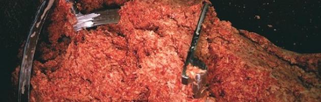 Scandalo hamburger negli Usa, il 70% è ottenuto da scarti di macellazione