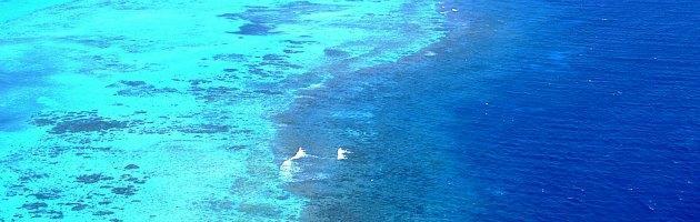 Copertina di La barriera corallina australiana a rischio, per Unesco sarà patrimonio dell’Umanità