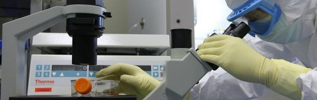 La spending review taglia l’eccellenza: a rischio i laboratori di ematologia Labnet