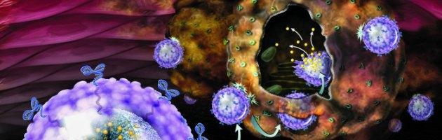 Copertina di Medicina, Harvard studia le nanoparticelle che trasportano farmaci