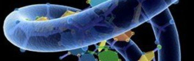 Copertina di Genetica, mappa Dna uomo di Denisova svela geni “uomini moderni”