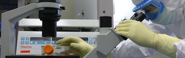 Istituto Negri verso rene artificiale: “Nefroni da cellule embrionali”