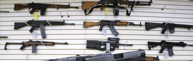 Copertina di Fli, proposta choc: “Deve essere più facile acquistare armi”