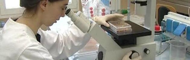 Tumori, l’Università di Bologna studia il virus che li può uccidere