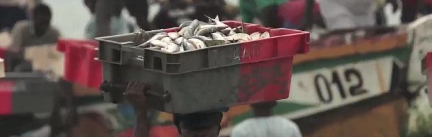 Copertina di Mafia della pesca e voracità europea: il Senegal rischia la crisi alimentare