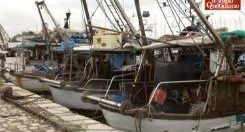 Copertina di L’allarme dei pescatori in Riviera: “Il pesce sta sparendo dall’Adriatico”