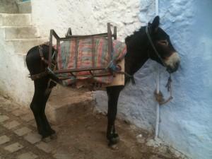 Giro del mondo - Marocco (2)