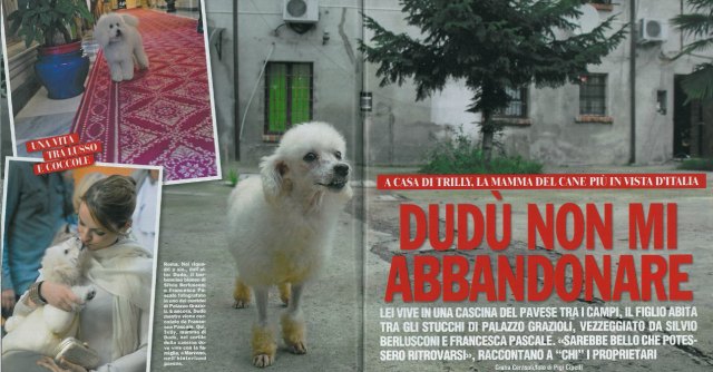 “Dudù e mamma Trilly”: ‘Chi’ incontra la ‘famiglia’ del cane di Berlusconi e Pascale