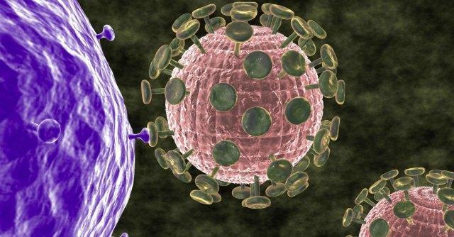 Copertina di Aids, scoperto il “mantello dell’invisibilità” del virus Hiv che nasconde infezione