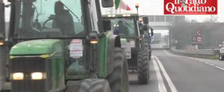 Copertina di Forconi, in Veneto tir e trattori bloccano la circolazione: “A casa tutti i politici”