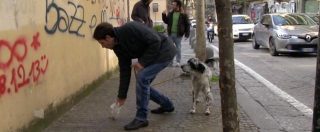 Copertina di Cacche dei cani, Napoli si divide sulla “tolleranza zero” di De Magistris