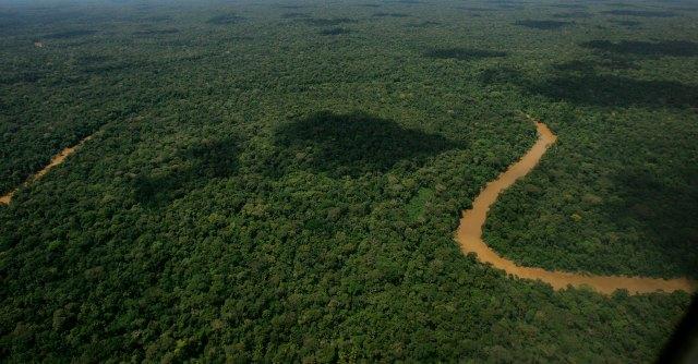 Yasuni national park