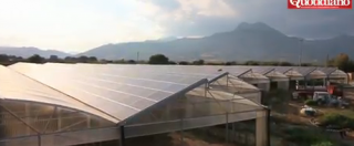 Copertina di Calabria, comune del cosentino abolisce Tasi con investimenti su fotovoltaico