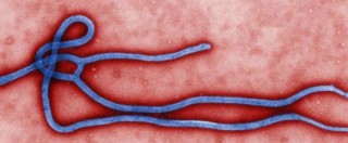 Copertina di Ebola, morta la bimba di 2 anni individuata come primo caso in Mali