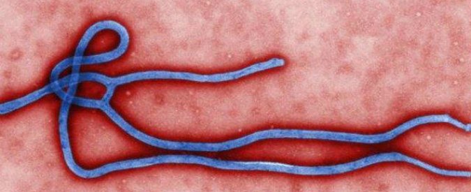 Ebola, morta la bimba di 2 anni individuata come primo caso in Mali
