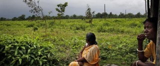 Copertina di Sri Lanka, frana su piantagione di tè. 14 morti e 250 intrappolati sotto il fango