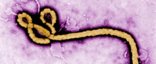 Copertina di Ebola, in provincia di Bergamo “divieto di dimora per chi non ha certificato medico”