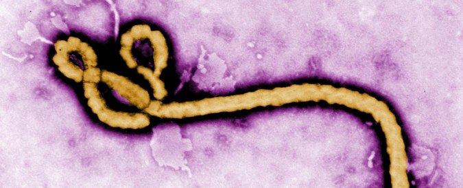 Ebola, in provincia di Bergamo “divieto di dimora per chi non ha certificato medico”