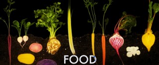 Copertina di FOOD, tutto il mondo del cibo tra scienza e gusto