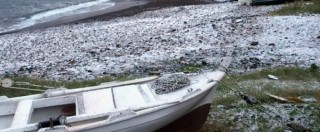 Copertina di Maltempo: neve al sud, disagi nel Meridione e blocco traghetti per le isole