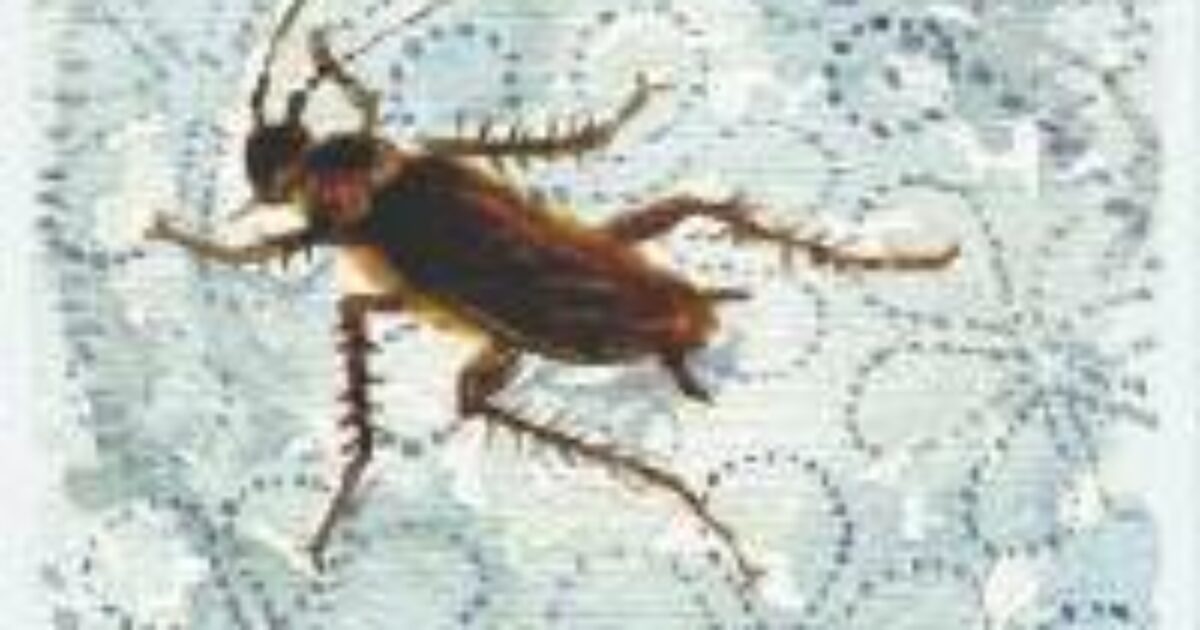 “Voleva uccidere uno scarafaggio con uno spray infiammabile ma ha incendiato la palazzina. Ha detto che era un metodo ‘collaudato'”: un morto e otto feriti