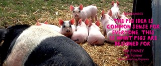 Copertina di Chef inglesi: “Ai maiali si deve dare scarti di cibo. Stop ai campi di soia per nutrirli”
