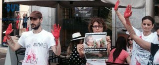 Copertina di Animalisti contro McDonald’s: doppio blitz in centro a Milano