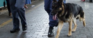 Copertina di Cani antidroga a scuola, a Firenze un preside dice no: ‘Non siamo allo stadio’