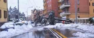 Bologna, servizio mensa saltato a causa del maltempo: Nas in azione